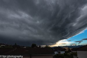D75_3943 D75_3943