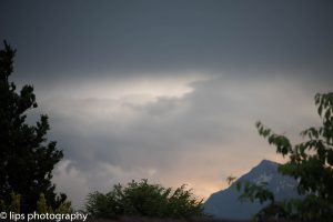 D75_3946 D75_3946