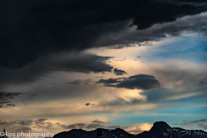 D75_3950 D75_3950