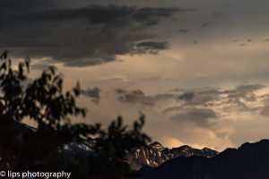 D75_3951 D75_3951