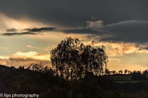D75_3952 D75_3952