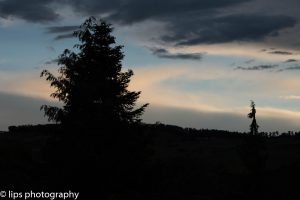 D75_3955 D75_3955
