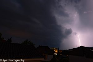 D75_3972 D75_3972