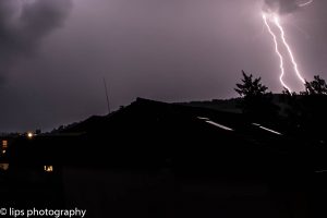 D75_3973 D75_3973