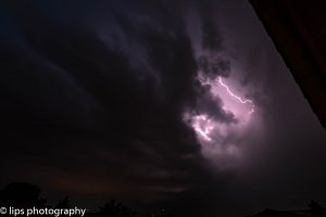D75_3976 D75_3976