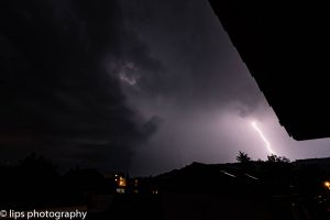 D75_3977 D75_3977
