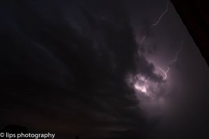 D75_3978 D75_3978