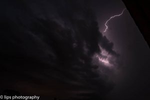 D75_3982 D75_3982