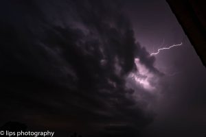 D75_3983 D75_3983