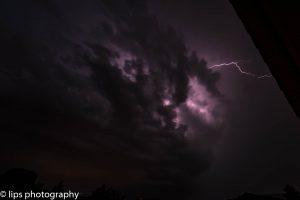 D75_3986 D75_3986