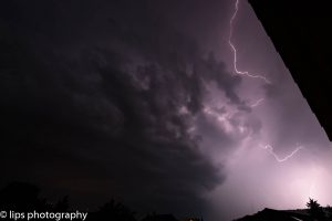 D75_3987 D75_3987