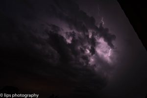 D75_3988 D75_3988