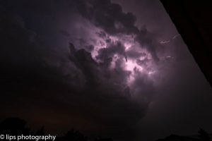 D75_3992 D75_3992