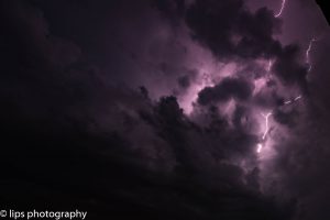 D75_3995 D75_3995