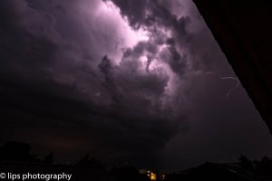 D75_3998 D75_3998
