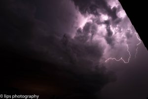 D75_3999 D75_3999