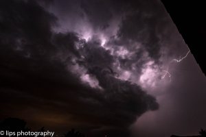 D75_4002 D75_4002