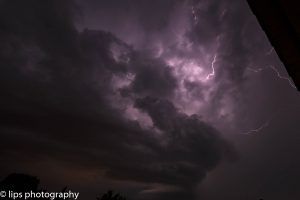 D75_4004 D75_4004