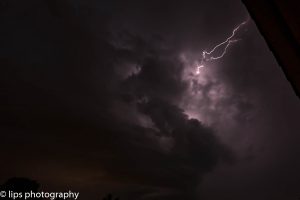 D75_4007 D75_4007