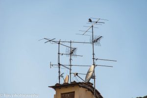D75_5431 D75_5431