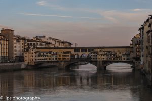 D75_5445 D75_5445