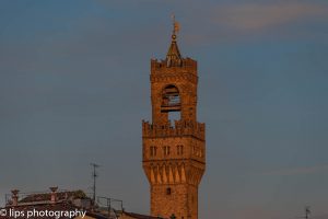 D75_5447 D75_5447