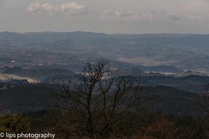 D75_5570 D75_5570
