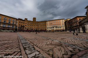 D75_5611 D75_5611
