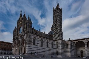 D75_5645 D75_5645