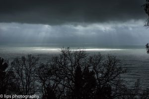 D75_5848 D75_5848