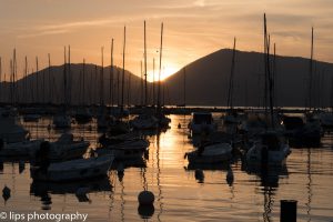 D75_5961 D75_5961