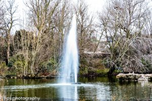 EnglandMaerz2016-110 EnglandMaerz2016-110