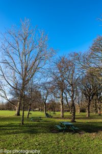 London 2017 (31) London 2017 (31)