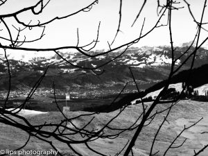 20180101-P1010150 20180101-P1010150