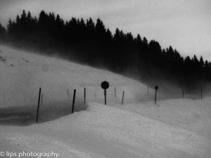 20180101-P1010170 20180101-P1010170