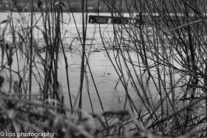 D75_5300 D75_5300