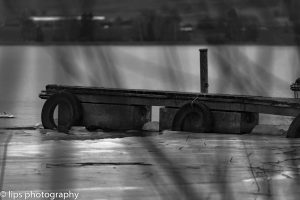 D75_5302 D75_5302