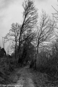 D75_5304 D75_5304