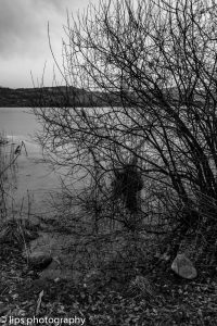 D75_5306 D75_5306