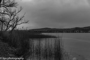 D75_5307 D75_5307