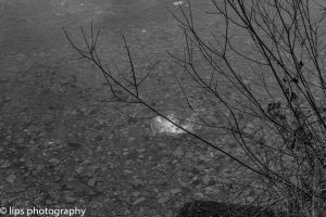 D75_5308 D75_5308