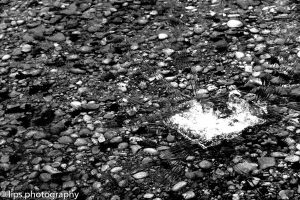 D75_5310 D75_5310