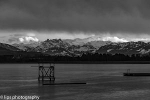 D75_5311 D75_5311