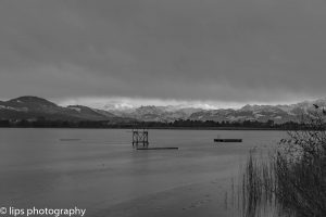 D75_5312 D75_5312