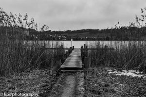 D75_5314 D75_5314