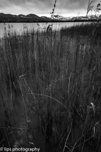D75_5315 D75_5315