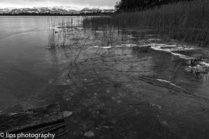 D75_5316 D75_5316