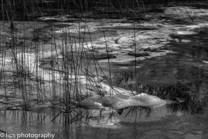 D75_5317 D75_5317