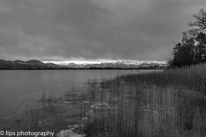 D75_5320 D75_5320