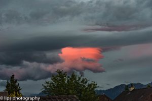 D75_6387 D75_6387